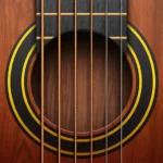 Real Guitar Premium APK mod
